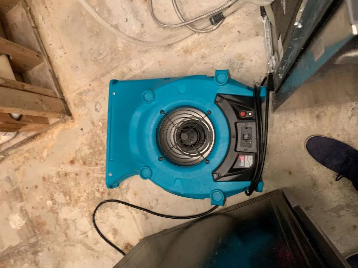 Air mover drying equipment for Mold Remediation & Removal in Birch Bay
