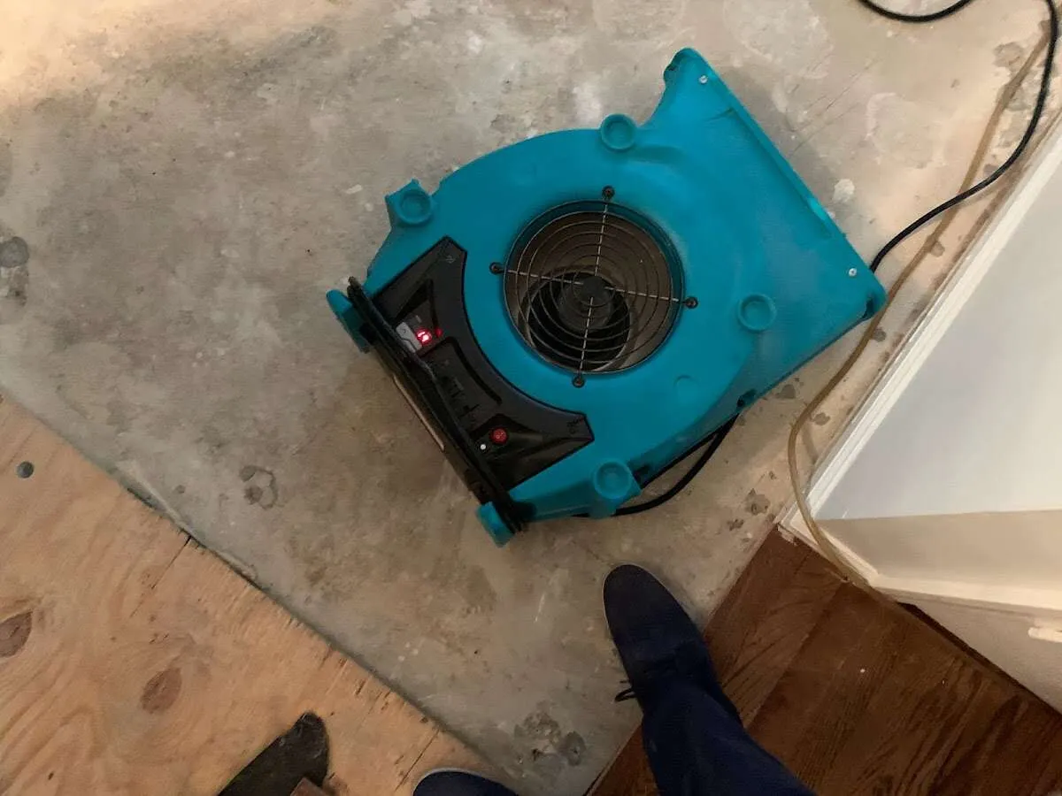 Air mover drying subfloor during Leak Detection & Repair in Birch Bay